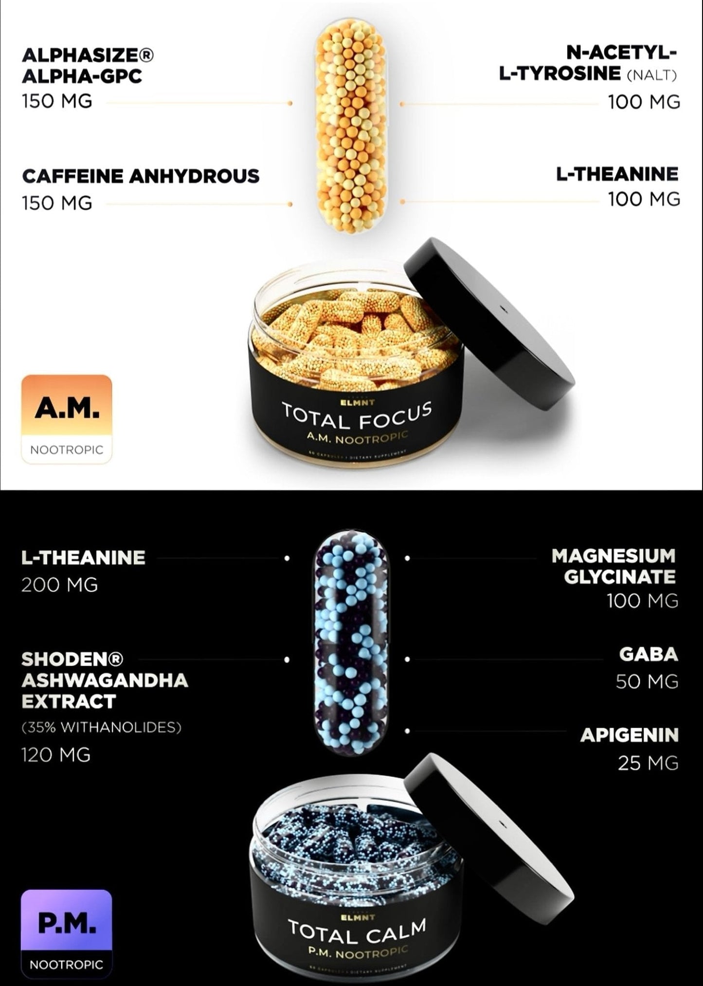 AMPM Nootropic Total Focus + Calm 9X Strength w. Caffeine, L-Theanine, Alpha GPC, L-Tyrosine, Ashwagandha - X-Release Energy Pills Nootropics Brain Support Supplements for Memory and Focus Supplement - Maple Wellness Supplements