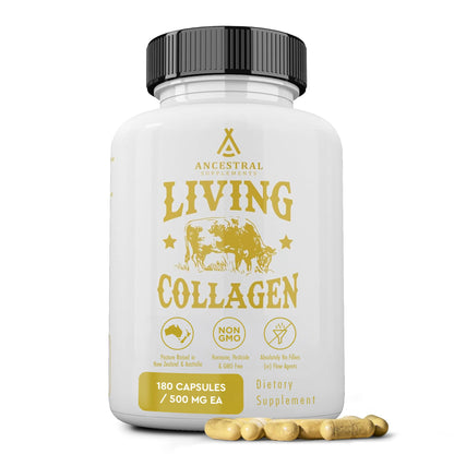 Ancestral Supplements Grass Fed Beef Living Collagen Nutritional Powder Supplement, 3000mg, Promotes Healthier, Younger Looking Skin, Hair - Maple Wellness Supplements