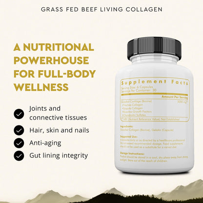 Ancestral Supplements Grass Fed Beef Living Collagen Nutritional Powder Supplement, 3000mg, Promotes Healthier, Younger Looking Skin, Hair, Nails and Joints, Type II, 180 Capsules - Maple Wellness Supplements