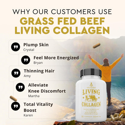 Ancestral Supplements Grass Fed Beef Living Collagen Nutritional Powder Supplement, 3000mg, Promotes Healthier, Younger Looking Skin, Hair, Nails and Joints, Type II, 180 Capsules - Maple Wellness Supplements