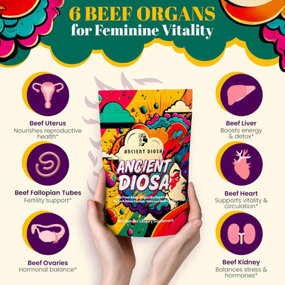 ANCIENT DIOSA Grass Fed Beef Liver Capsules - Female-Focused Organ Supplement with Liver, Heart, Ovary & Uterus - Supports Hormone Balance & Vitality, Whole Body Wellness - 60 Capsules - Maple Wellness Supplements