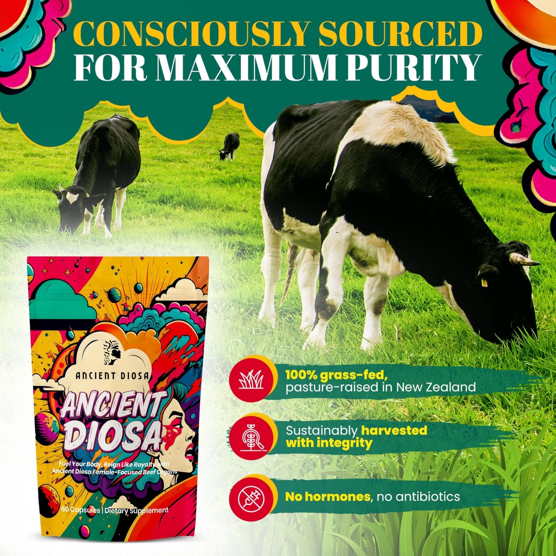 ANCIENT DIOSA Grass Fed Beef Liver Capsules - Female-Focused Organ Supplement with Liver, Heart, Ovary & Uterus - Supports Hormone Balance & Vitality, Whole Body Wellness - 60 Capsules - Maple Wellness Supplements