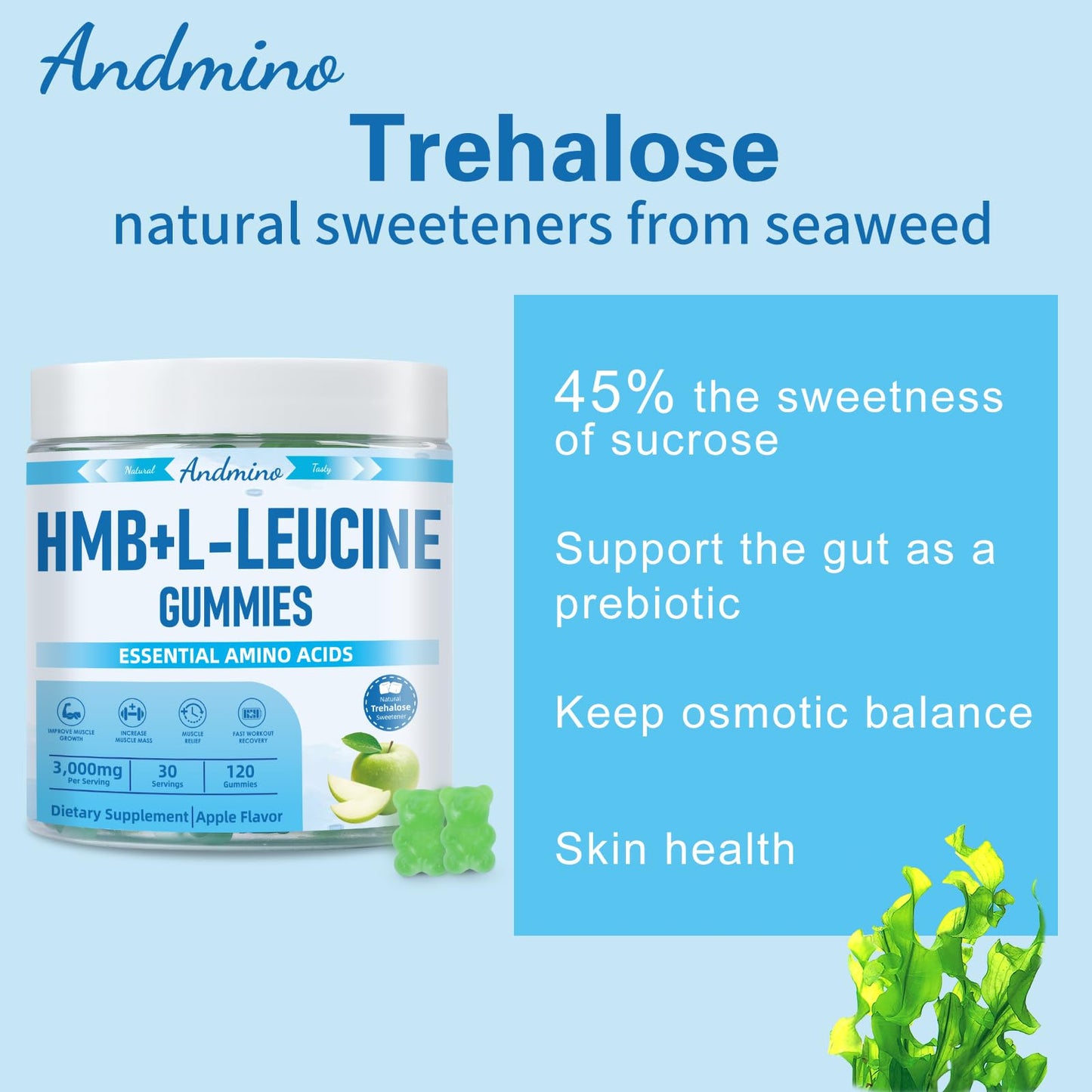 andmino HMB and L-Leucine Gummies, 3000mg, with Trehalose, for Muscle Growth, Muscle Relief and Workout Recovery, for Adults & Elder, Non-GMO - Maple Wellness Supplements