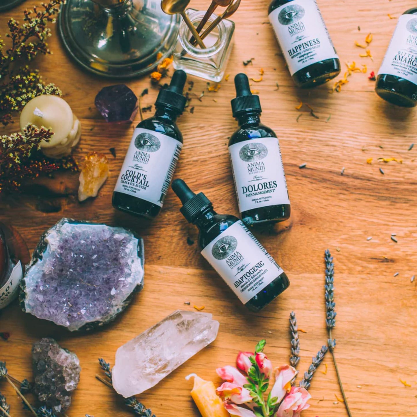 Anima Mundi Apothecary Dolores Tonic - Herbal Pain Management Supplement - Liquid Drops for Pain Management Support (2oz / 59ml) - Maple Wellness Supplements