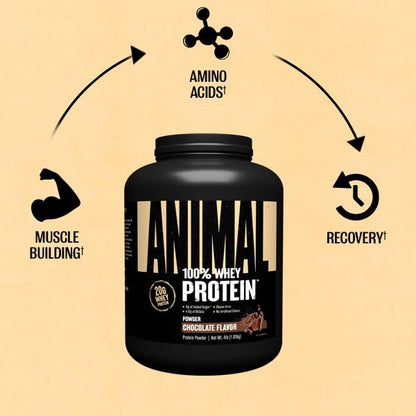 Animal 100% Whey Protein Powder – Whey Blend for Pre- or Post-Workout, Recovery - Maple Wellness Supplements