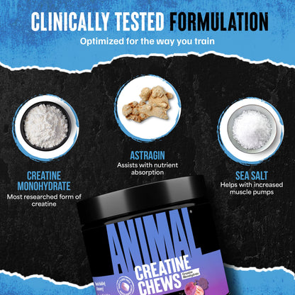 Animal Creatine Chews – 5g Creatine Monohydrate Tablets for Strength, Power & Training Recovery Support – Enhanced Absorption with AstraGin® – Convenient Chewable Format – 120 Tablets - Maple Wellness Supplements