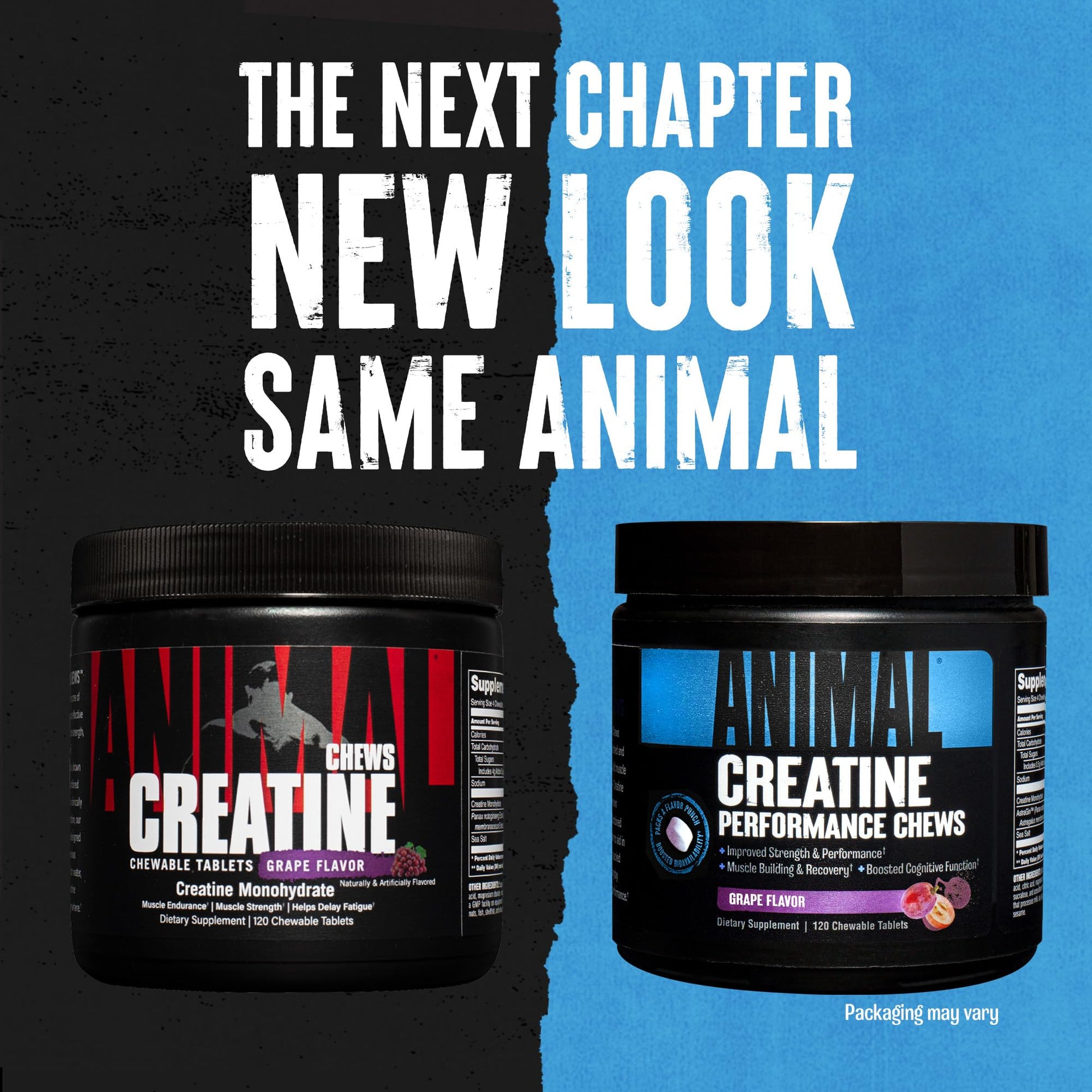 Animal Creatine Chews Tablets - Enhanced Creatine Monohydrate with AstraGin - Maple Wellness Supplements
