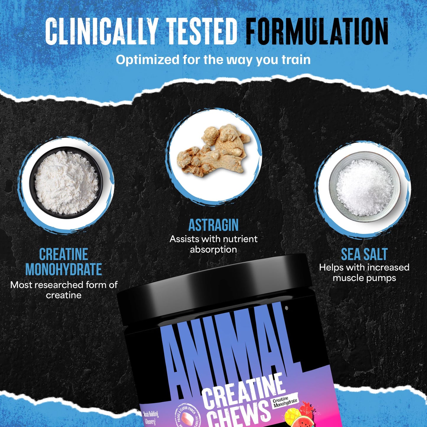 Animal Creatine Chews Tablets - Enhanced Creatine Monohydrate with AstraGin to Improve Absorption, Sea Salt for Added Pumps - Maple Wellness Supplements