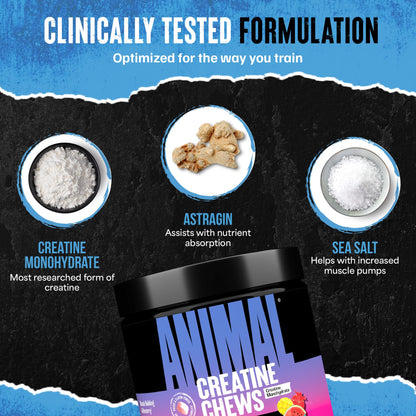 Animal Creatine Chews Tablets - Enhanced Creatine Monohydrate with AstraGin to Improve Absorption, Sea Salt for Added Pumps - Maple Wellness Supplements