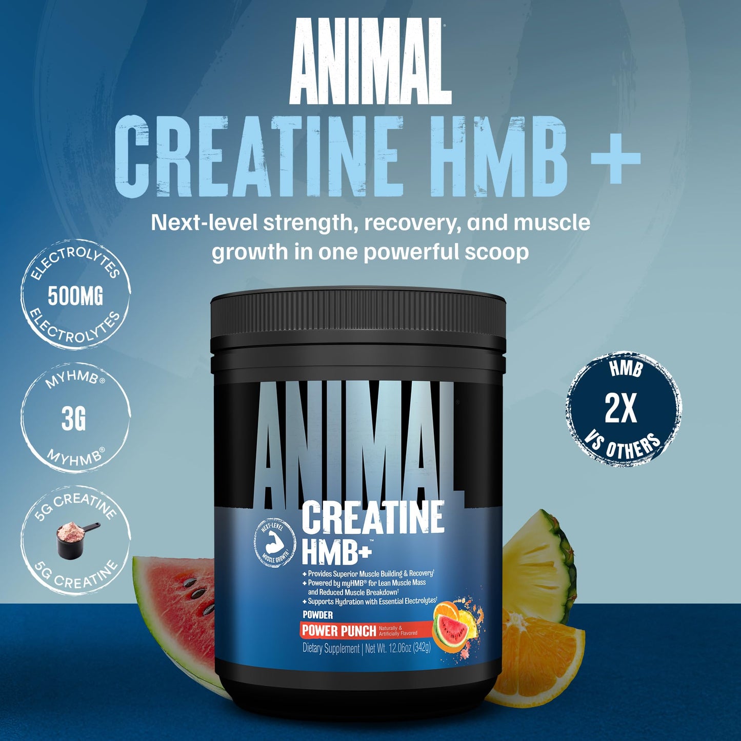 Animal Creatine HMB Powder – 3g myHMB + 5g Creatine with Electrolytes for Recovery & Daily Energy – Power Punch Flavor, 30 Servings - Maple Wellness Supplements