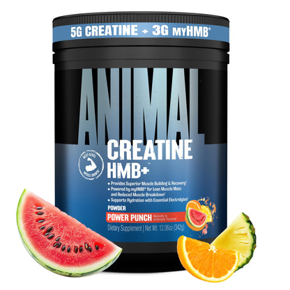 Animal Creatine HMB Powder – 3g myHMB + 5g Creatine with Electrolytes for Recovery & Daily Energy – Power Punch Flavor, 30 Servings - Maple Wellness Supplements