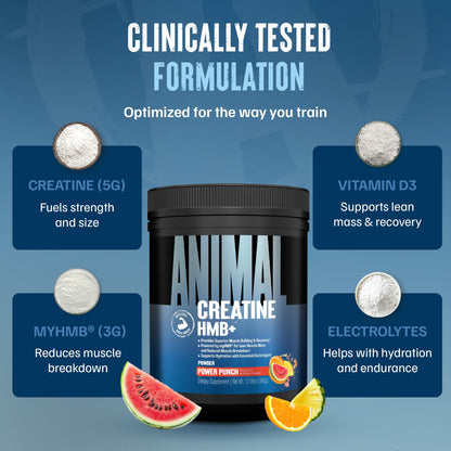 Animal Creatine HMB Powder – 3g myHMB + 5g Creatine with Electrolytes for Recovery & Daily Energy – Power Punch Flavor, 30 Servings - Maple Wellness Supplements