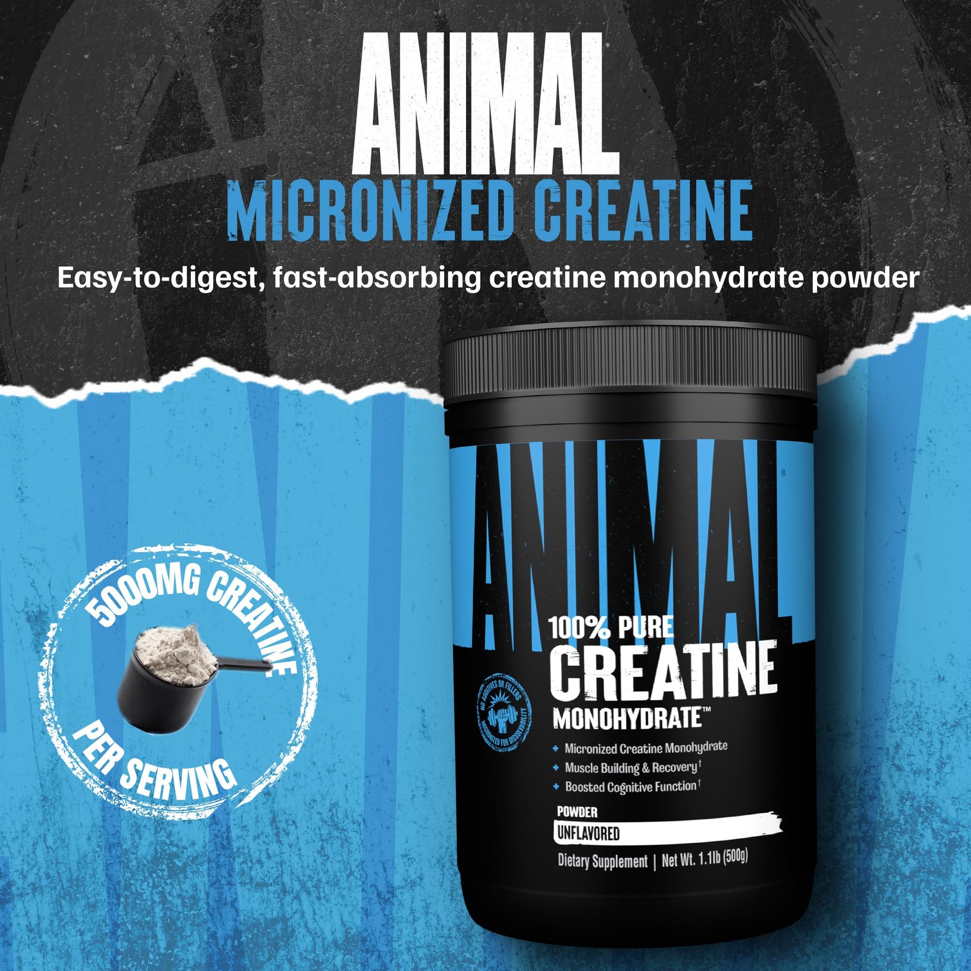 Animal Creatine Monohydrate Powder - Micronized Creatine for Women and Men, Supports Muscle Growth, Strength, Endurance, Recovery and ATP Production, - Maple Wellness Supplements