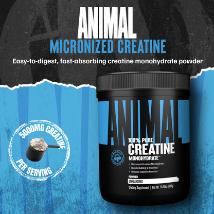 Animal Creatine Monohydrate Powder – Micronized Creatine for Women and Men, Supports Muscle Growth, Strength, Endurance, Recovery and ATP Production, Gym & Workout Supplements - Unflavored, 300g - Maple Wellness Supplements