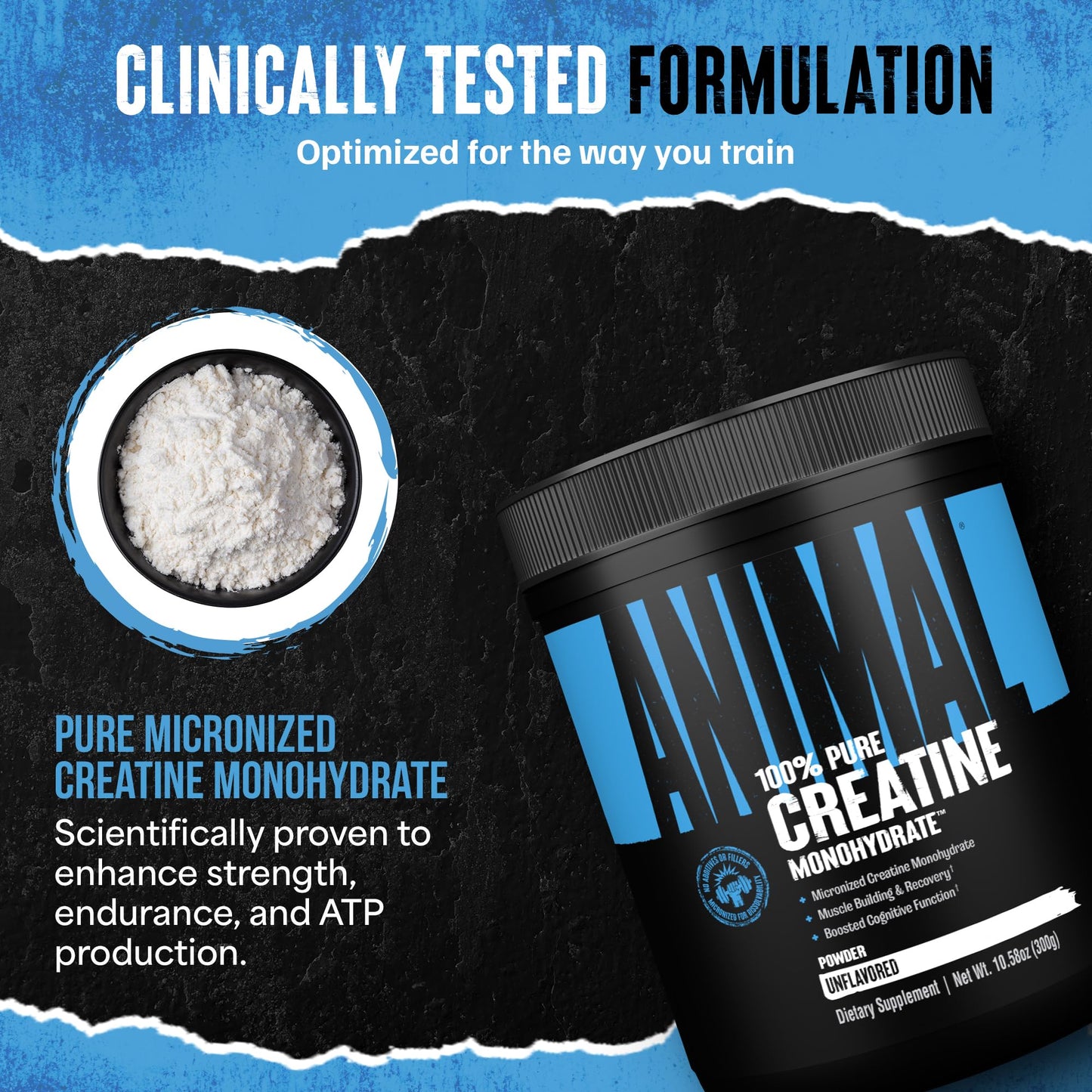 Animal Creatine Monohydrate Powder — Micronized for Muscle Recovery, Cellular Energy, and Daily Wellness — for Men and Women - Maple Wellness Supplements