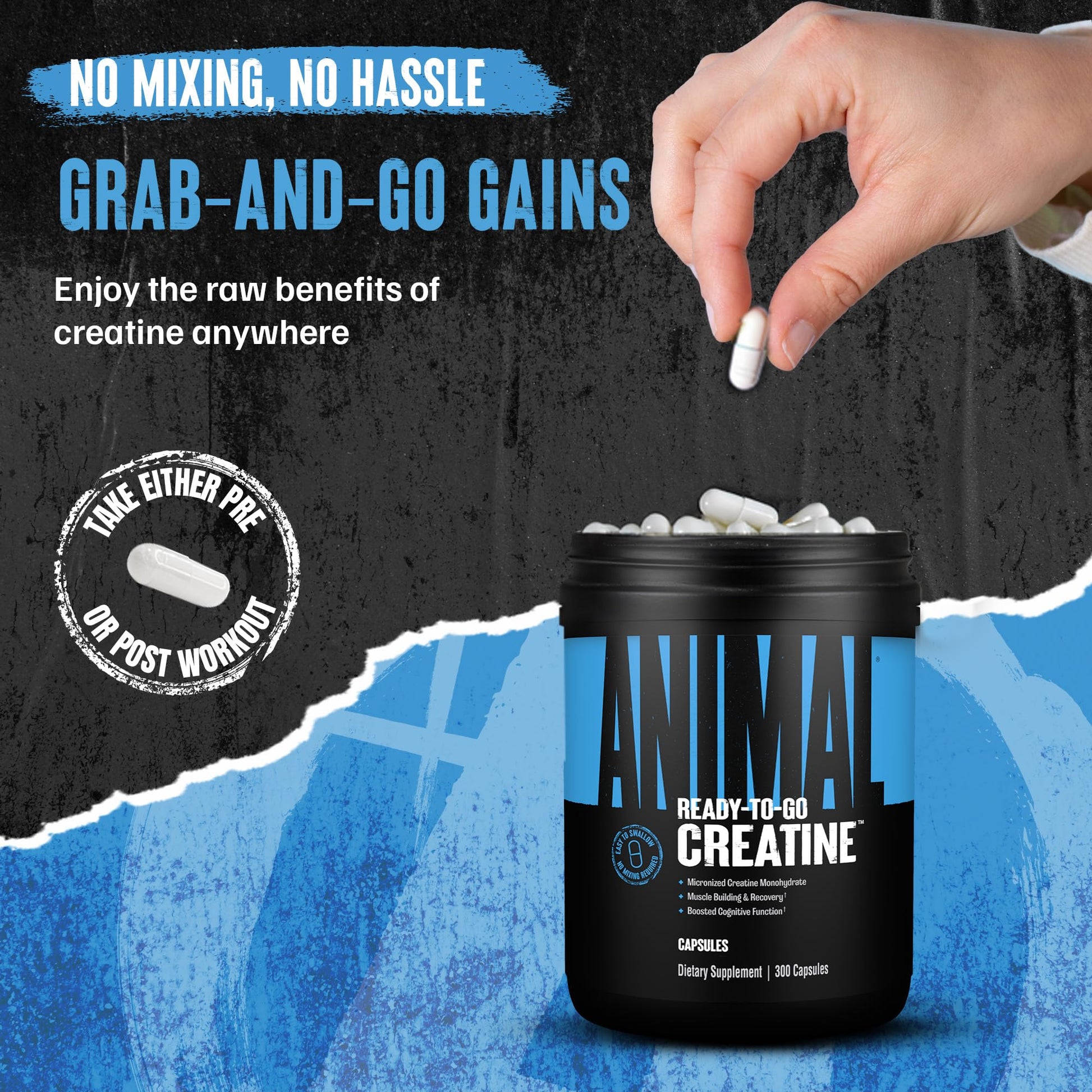 Animal Micronized Creatine Monohydrate Capsules - 300 Caps, 2500mg per Serving to Support Muscle Growth, Endurance, ATP Production, Cognitive Function, Strength - Maple Wellness Supplements