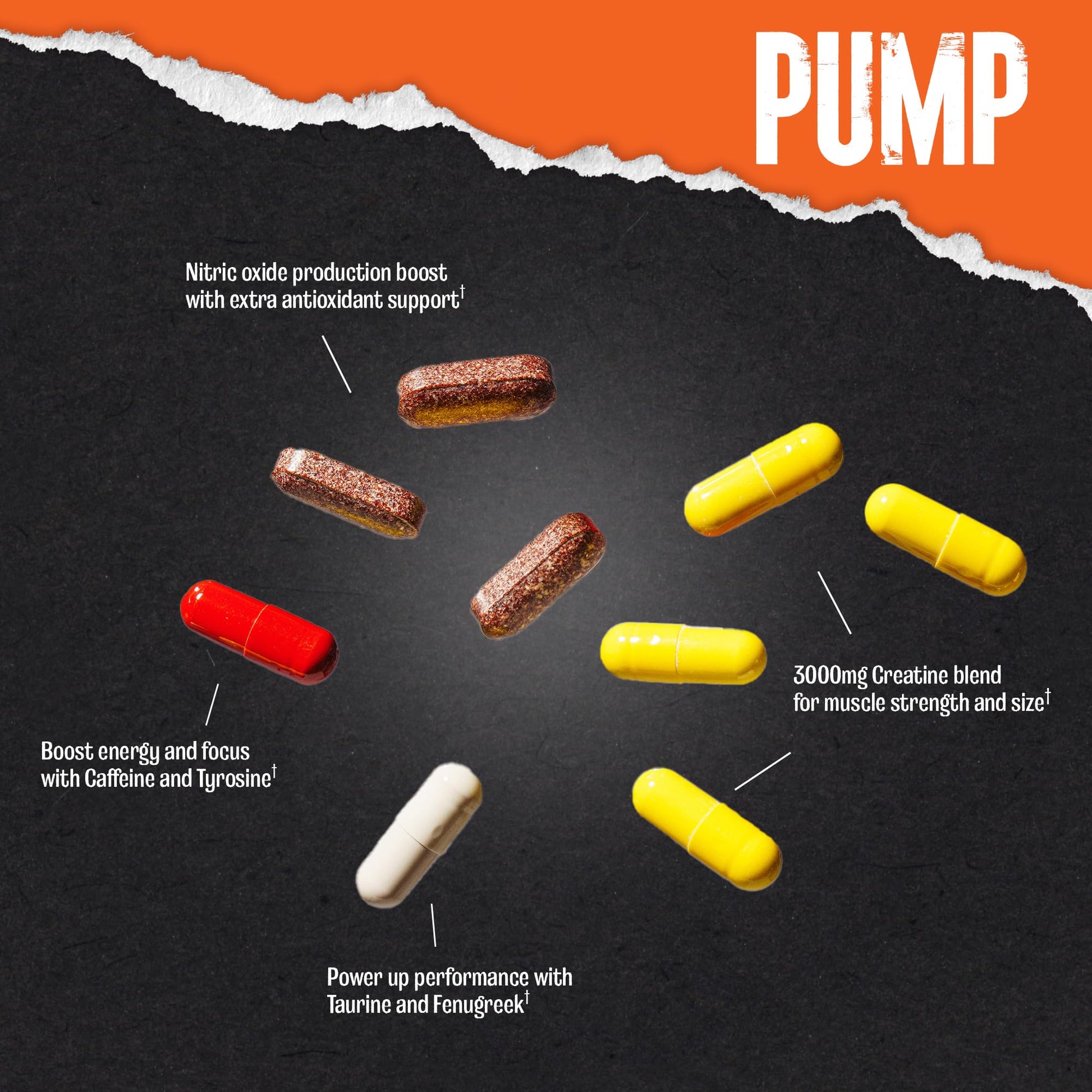 Animal Pump Pre-Workout Supplement – for Energy, Focus and Muscle Volumizing, with Nitric Oxide Boosters Including Stims and Nootropics, Creatine, - Maple Wellness Supplements