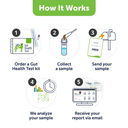 AnimalBiome Dog Gut Health Test – DoggyBiome At Home Stool Testing Kit, Canine Fecal Analysis for Digestive Issues, Diarrhea & Allergy Insights w/Personalized Report & Custom Plan (Dogs in US) - Maple Wellness Supplements