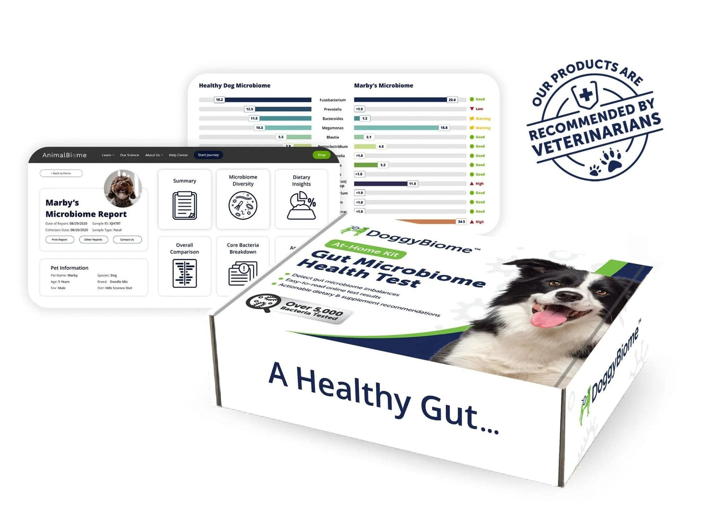 AnimalBiome Dog Gut Health Test – DoggyBiome At Home Stool Testing Kit, Canine Fecal Analysis for Digestive Issues, Diarrhea & Allergy Insights w/Personalized Report & Custom Plan (Dogs in US) - Maple Wellness Supplements
