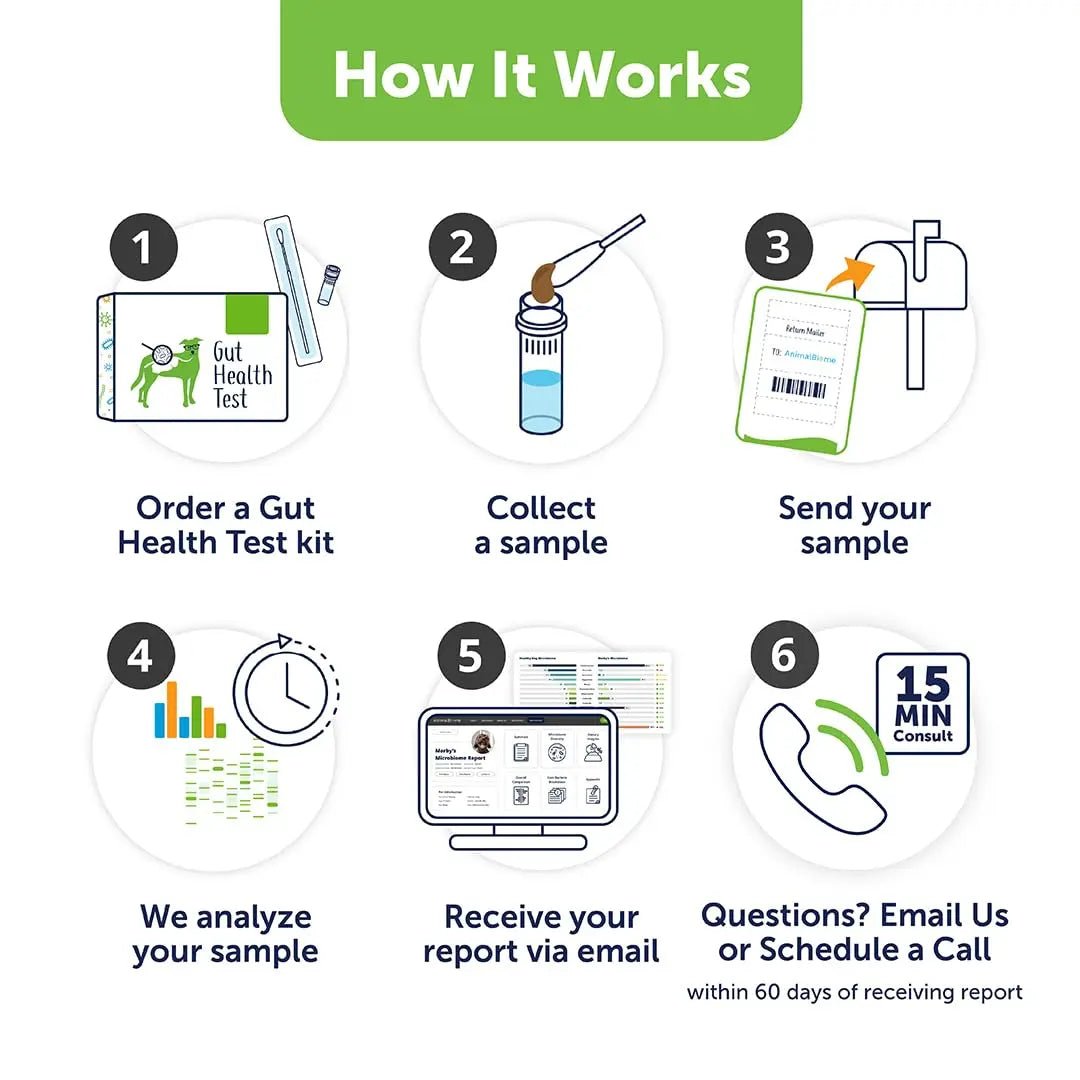 AnimalBiome Dog Gut Health Test – DoggyBiome At Home Stool Testing Kit, Canine Fecal Analysis for Digestive Issues, Diarrhea & Allergy Insights w/Personalized Report & Custom Plan (Dogs Outside US) - Maple Wellness Supplements