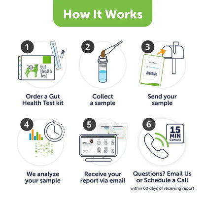 AnimalBiome Dog Gut Health Test – DoggyBiome At Home Stool Testing Kit, Canine Fecal Analysis for Digestive Issues, Diarrhea & Allergy Insights w/Personalized Report & Custom Plan (Dogs Outside US) - Maple Wellness Supplements
