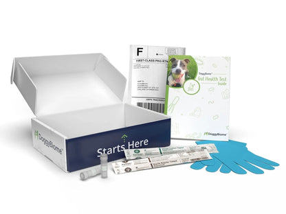 AnimalBiome Dog Gut Health Test – DoggyBiome At Home Stool Testing Kit, Canine Fecal Analysis for Digestive Issues, Diarrhea & Allergy Insights w/Personalized Report & Custom Plan (Dogs in US) - Maple Wellness Supplements