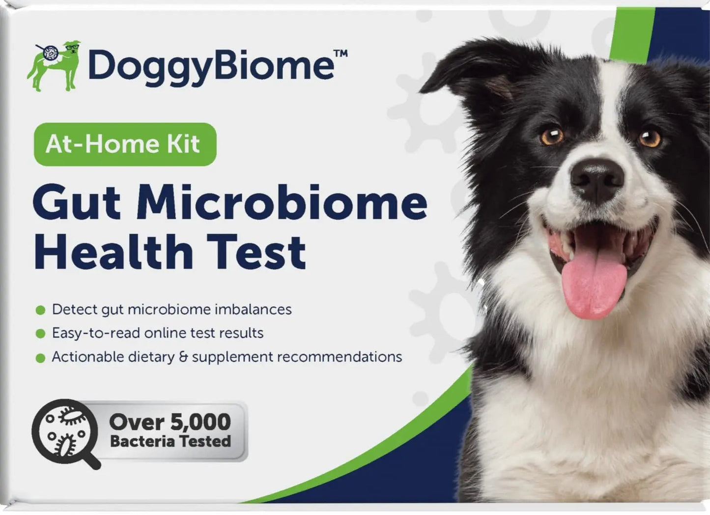 AnimalBiome Dog Gut Health Test – DoggyBiome At Home Stool Testing Kit, Canine Fecal Analysis for Digestive Issues, Diarrhea & Allergy Insights w/Personalized Report & Custom Plan (Dogs Outside US) - Maple Wellness Supplements