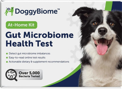 AnimalBiome Dog Gut Health Test – DoggyBiome At Home Stool Testing Kit, Canine Fecal Analysis for Digestive Issues, Diarrhea & Allergy Insights w/Personalized Report & Custom Plan (Dogs Outside US) - Maple Wellness Supplements