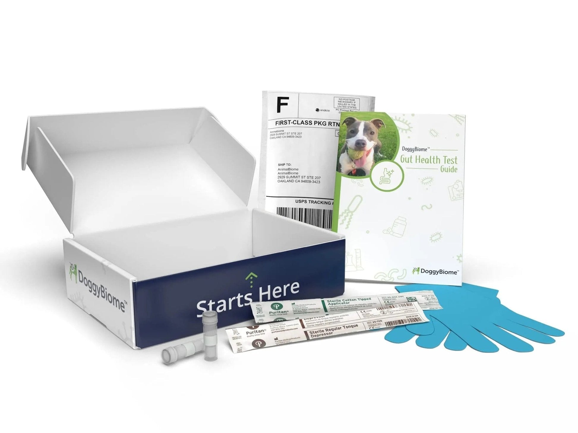 AnimalBiome Dog Gut Health Test – DoggyBiome At Home Stool Testing Kit, Canine Fecal Analysis for Digestive Issues, Diarrhea & Allergy Insights w/Personalized Report & Custom Plan (Dogs Outside US) - Maple Wellness Supplements