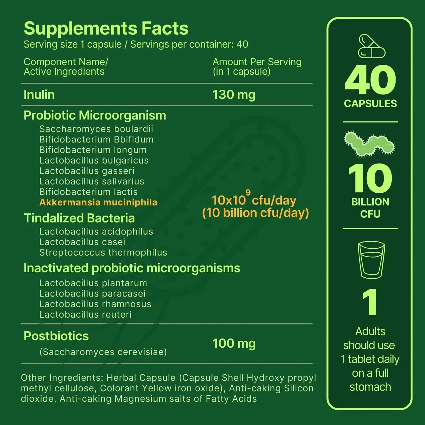 anocin Akkermansia Muciniphila + Probiotic, Postbiotic & Inulin - Gut Health Supplement for Digestion, Immune Support - 10 Billion CFU, Vegan & Gluten-Free - Maple Wellness Supplements