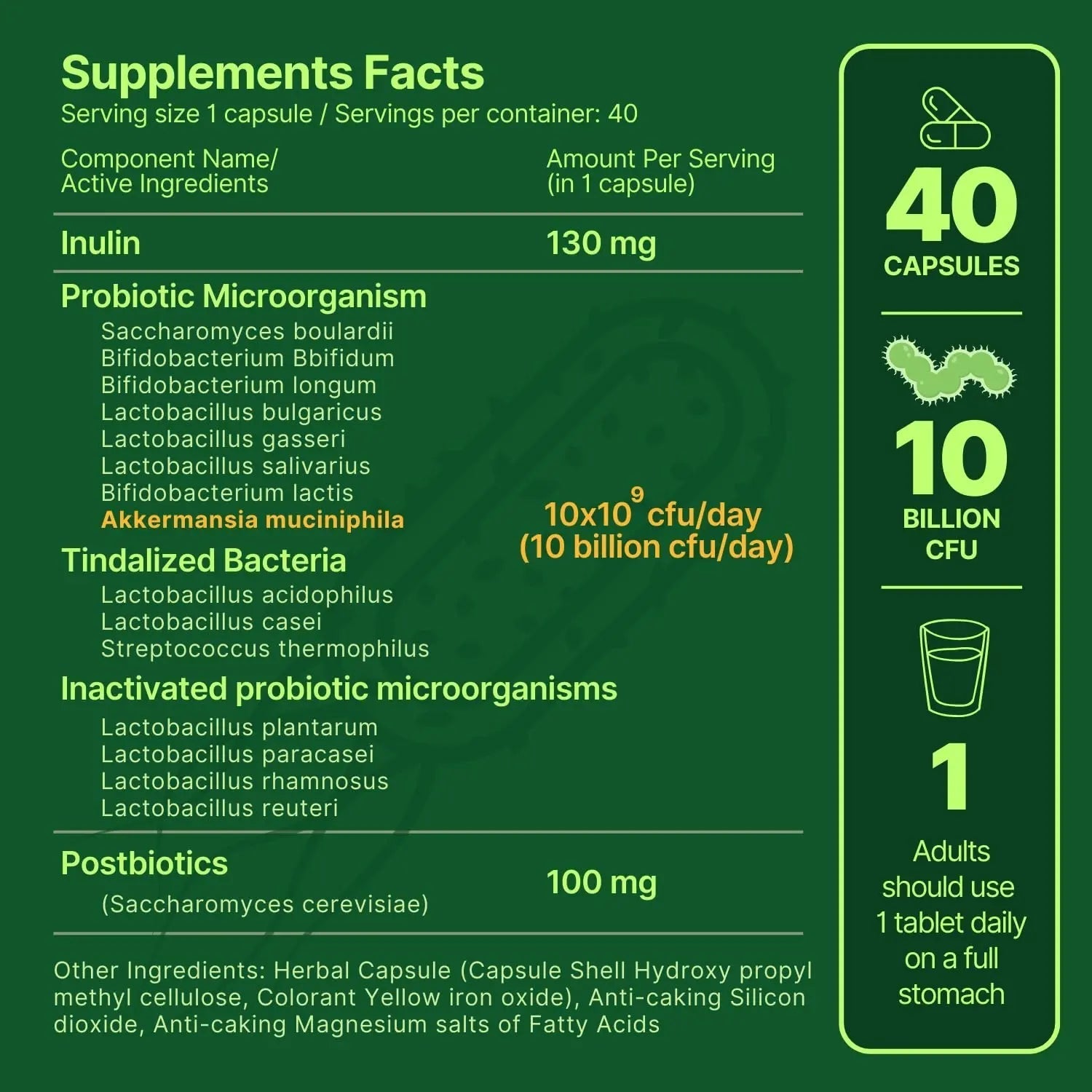 anocin Akkermansia Muciniphila + Probiotic, Postbiotic & Inulin - Gut Health Supplement for Digestion, Immune Support - 10 Billion CFU, Vegan & Gluten-Free - Maple Wellness Supplements