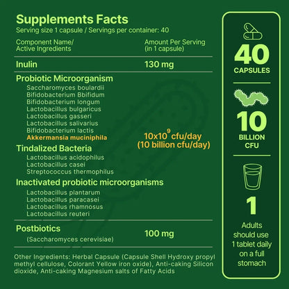 anocin Akkermansia Muciniphila + Probiotic, Postbiotic & Inulin - Gut Health Supplement for Digestion, Immune Support - 10 Billion CFU, Vegan & Gluten-Free - Maple Wellness Supplements