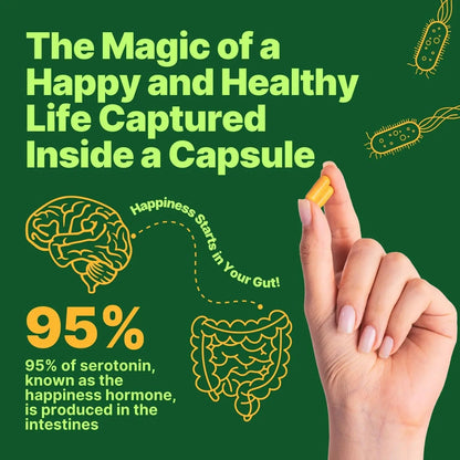 anocin Akkermansia Muciniphila + Probiotic, Postbiotic & Inulin - Gut Health Supplement for Digestion, Immune Support - 10 Billion CFU, Vegan & Gluten-Free - Maple Wellness Supplements