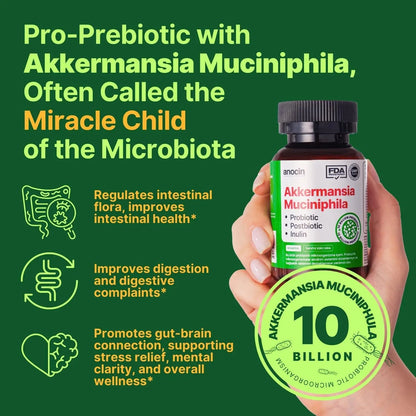 anocin Akkermansia Muciniphila + Probiotic, Postbiotic & Inulin - Gut Health Supplement for Digestion, Immune Support - 10 Billion CFU, Vegan & Gluten-Free - Maple Wellness Supplements