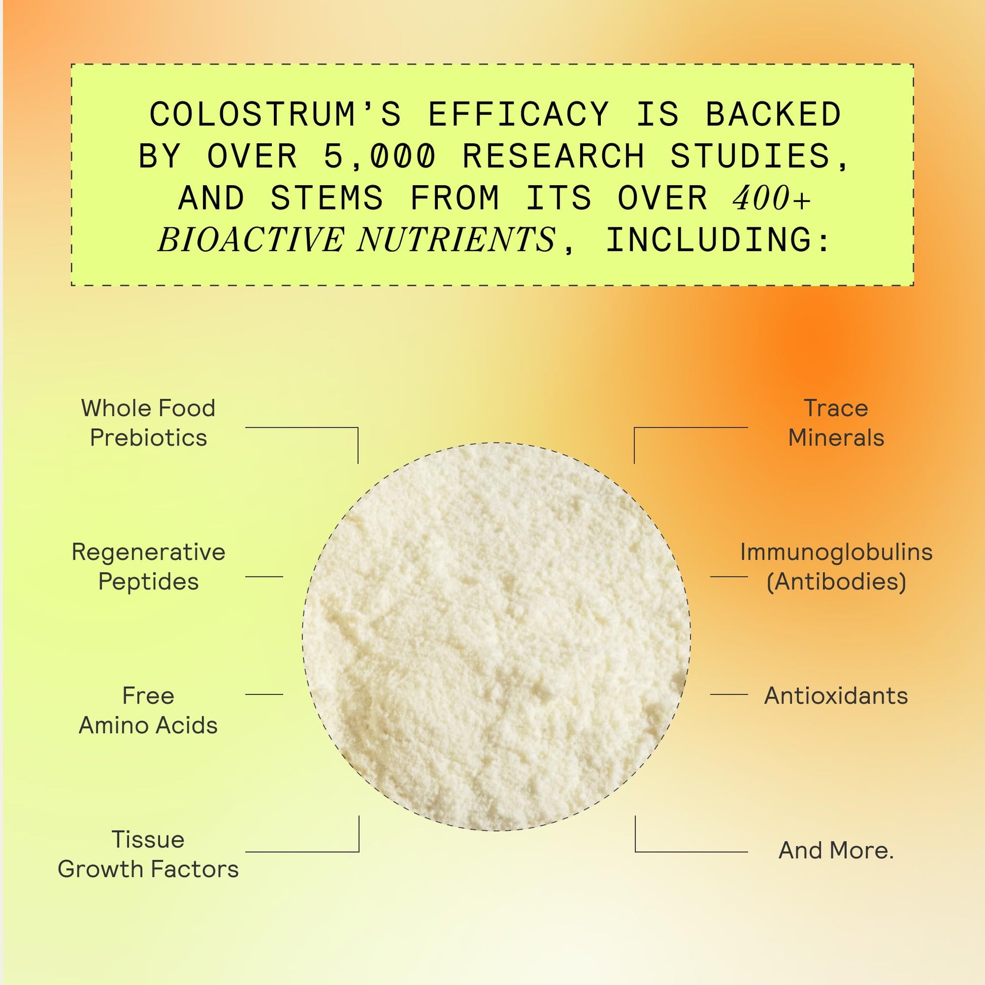 ARMRA Colostrum™ Premium Powder, Grass Fed, Gut Health Bloating Immunity Skin & Hair, Contains 400+ Bioactive Nutrients, Keto, Gluten & Fat Free (Unflavored Bundle | 90 Servings) - Maple Wellness Supplements