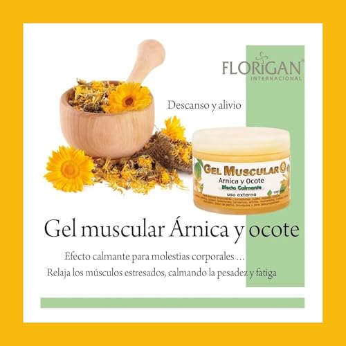 Arnica and Ocote Muscle Gel 350grs. - Maple Wellness Supplements
