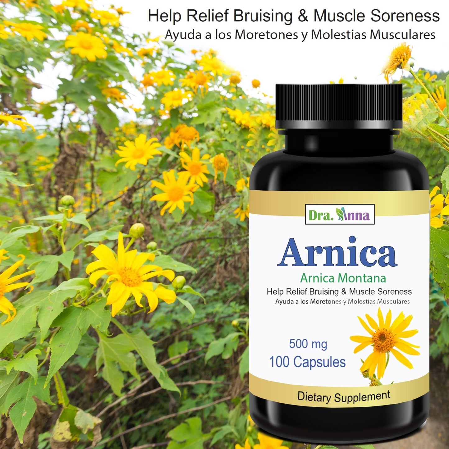 Arnica Montana Capsules 500mg 100 Capsules - Maple Wellness Supplements