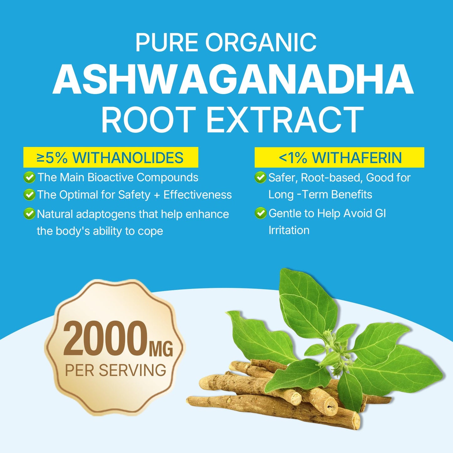Ashwagandha Gummies 2000mg for Women Men - Sugar Free, Vegan - Organic Ashwagandha Root Extract Supplements Gummy & Vitamin D3 - Maple Wellness Supplements