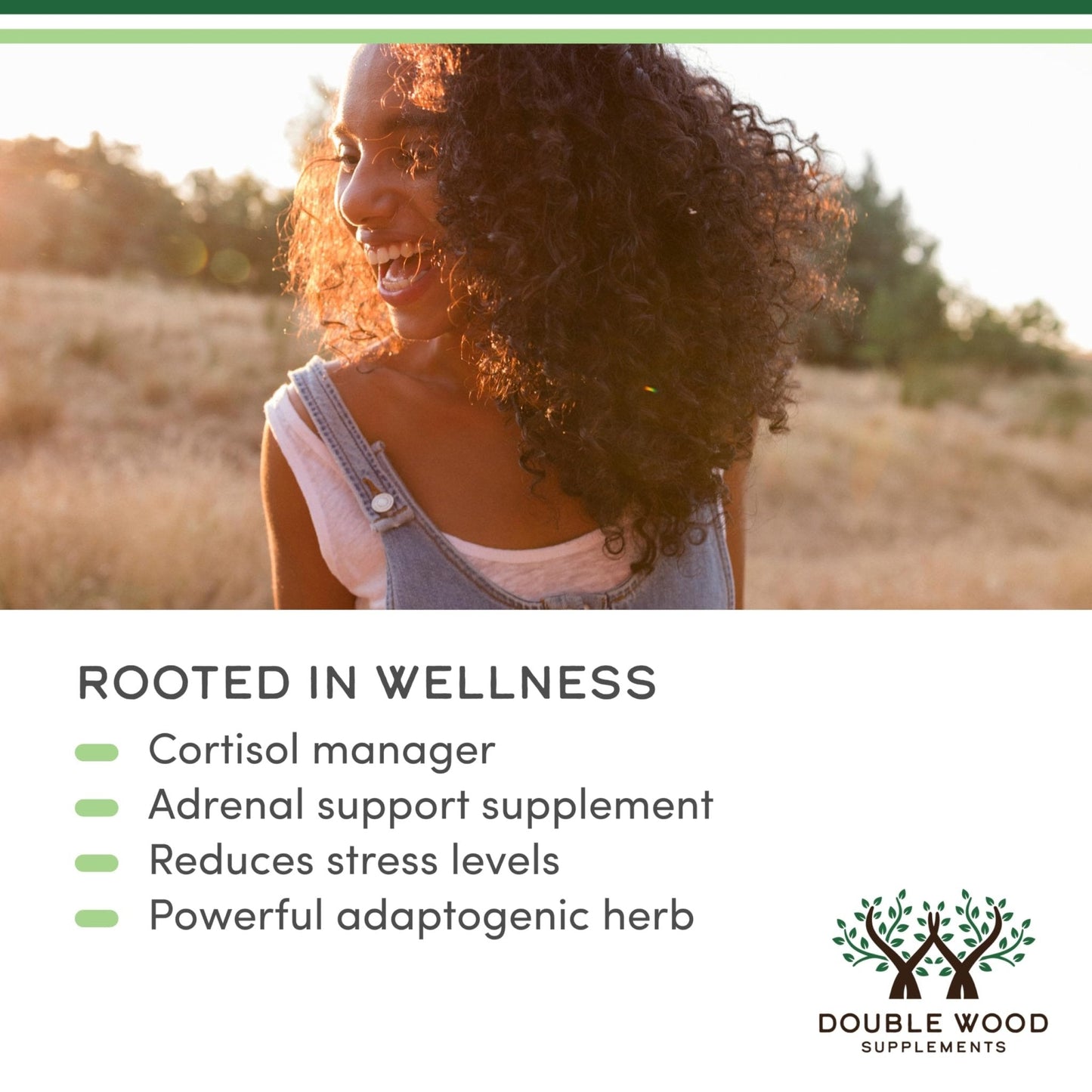 Ashwagandha Organic Drops for Stress Relief (1,200mg, 60 Servings) Ashwagandha Tincture for Adrenal Support and Cortisol Manager - Maple Wellness Supplements