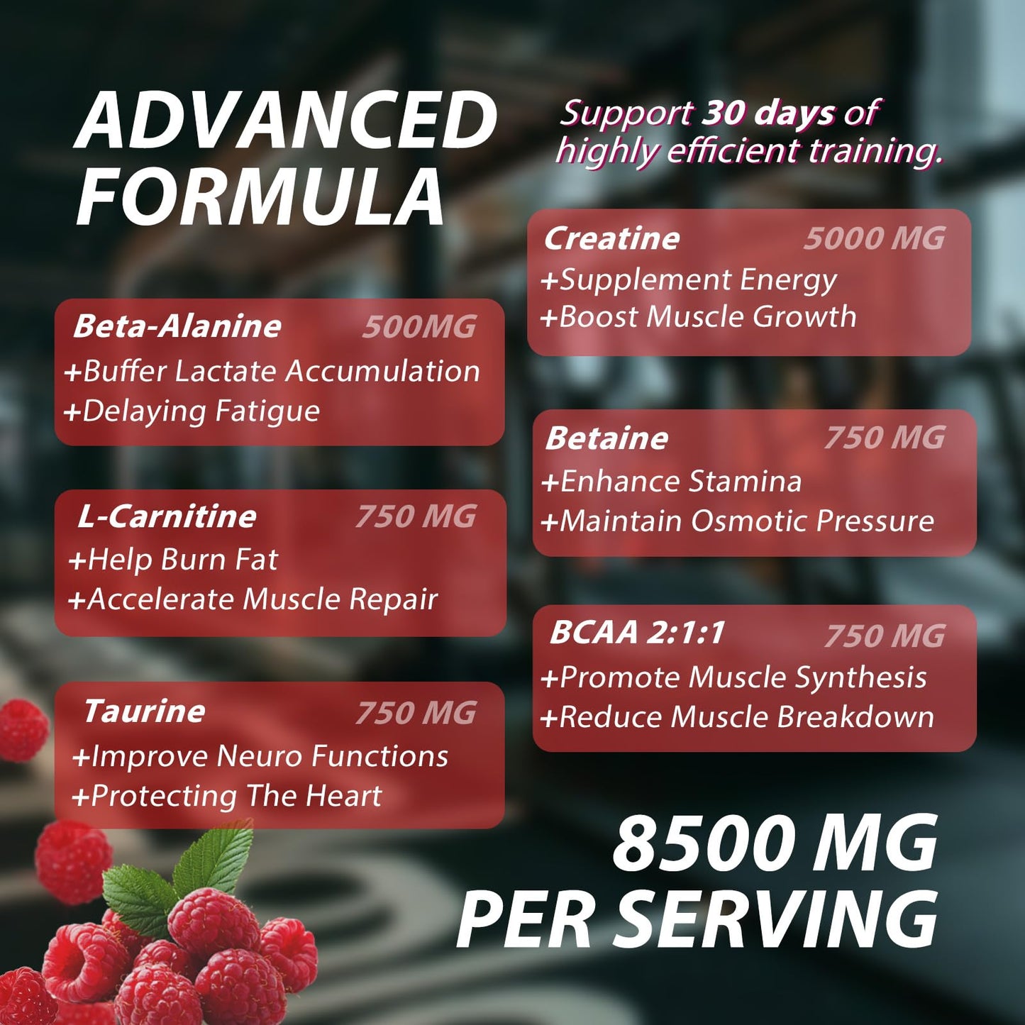 Asumtal Creatine Monohydrate Gummies for Men & Women, Creatine Monohydrate Supplement for Muscle Growth, Strength & Energy Support - Maple Wellness Supplements