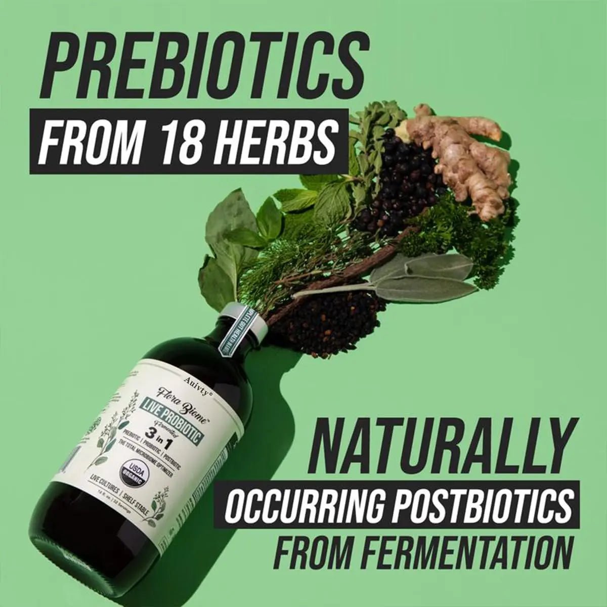 Auivty Flora Biome Live Probiotic Liquid, 3-in-1 Probiotic + Prebiotic + Postbiotic, 30 Billion CFU (at Time of Manufacture), 10 Strains, Fermented Herbal Blend with 18 Herbs, Shelf Stable, 16 fl oz - Maple Wellness Supplements