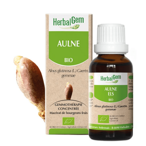 Aulne BIO Macerat mère bourgeons Flacon 30 ml HERBALGEM - Maple Wellness Supplements