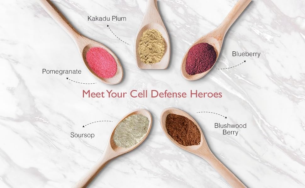 Aussie Pure Blushwood Berry Superfruit Daily Cell Defense - Soursop - Kakadu Plum - Pomegranate - Blueberry - Immune and Cell Support Powder - All Ages - Lab Tested and Authenticated - 180g/6.4oz - Maple Wellness Supplements