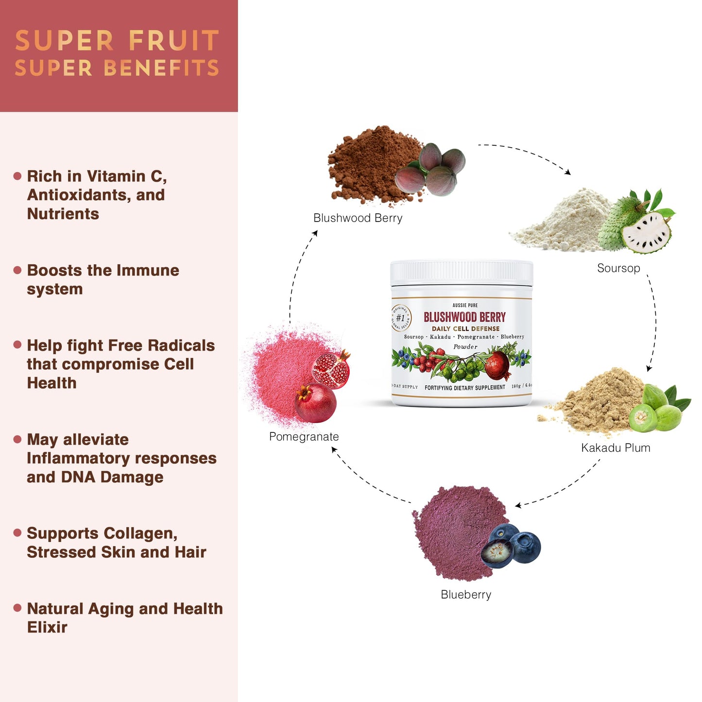 Aussie Pure Blushwood Berry Superfruit Daily Cell Defense - Soursop - Kakadu Plum - Pomegranate - Blueberry - Immune and Cell Support Powder - All Ages - Lab Tested and Authenticated - 180g/6.4oz - Maple Wellness Supplements