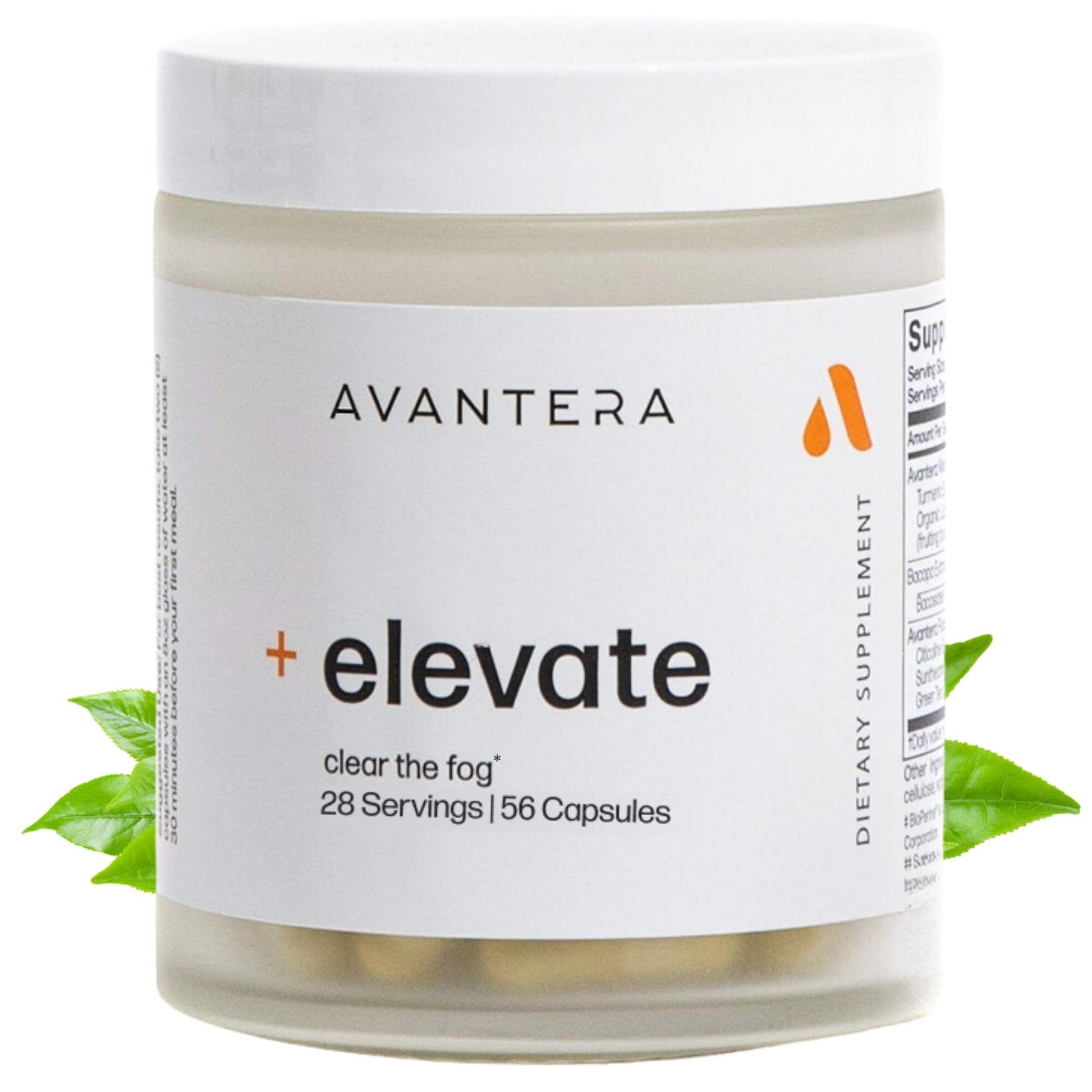 Avantera Elevate Premium Nootropic Supplement - Beat Brain Fog - Best Focus Supplements for Memory & Focus Support - Energy Without Crash - Maple Wellness Supplements