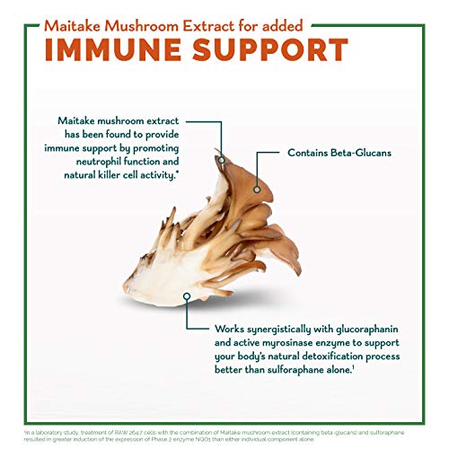 Avmacol Extra Strength 1 Researched Sulforaphane-Producing Brand for Detoxification - Maple Wellness Supplements