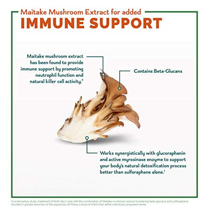 Avmacol Extra Strength 1 Researched Sulforaphane-Producing Brand for Detoxification - Maple Wellness Supplements