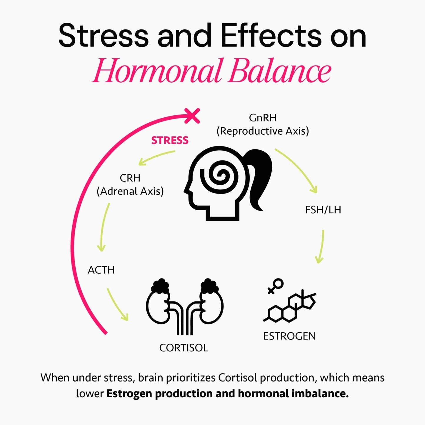 Ayurvedic Hormone Balance for Women | Cortisol Reducer | Mood, Energy, & Sleep Support | Regulates Estrogen | Stress Relief | Ashwagandha, Rhodiola, & Shatavari - Maple Wellness Supplements