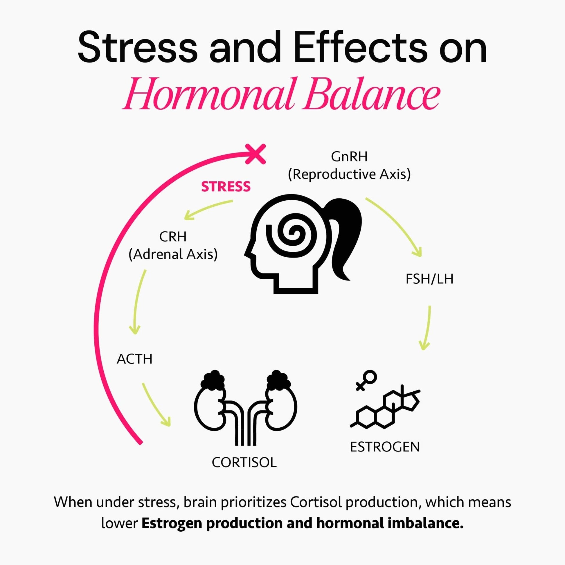 Ayurvedic Hormone Balance for Women | Cortisol Reducer | Mood, Energy, & Sleep Support | Regulates Estrogen | Stress Relief | Ashwagandha, Rhodiola, & Shatavari - Maple Wellness Supplements