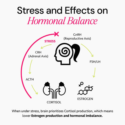 Ayurvedic Hormone Balance for Women | Cortisol Reducer | Mood, Energy, & Sleep Support | Regulates Estrogen | Stress Relief | Ashwagandha, Rhodiola, & Shatavari - Maple Wellness Supplements